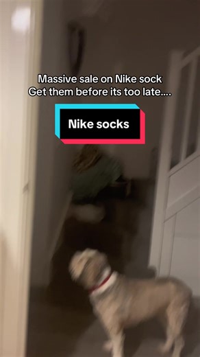 Sick of socks that slide, sweat, or wear out fast? These Nike Dri-FIT crew socks stay dry, cushioned, and comfortable for gym days and everyday wear. Lightweight, supportive, unisex. Grab the 3-pack while it’s on offer. #tiktokmademebuyit