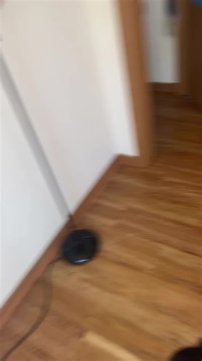 Arizona Tea Inspired Makeup Tutorial