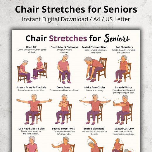 Chair Stretches for Seniors, Printable Seated Stretch Chart, Gentle Chair Exercises for Older Adults, Low Impact Chair Stretches Workout PDF - Etsy