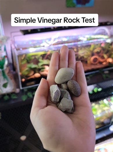 Easy Vinegar Test for Fish Tank Rocks Safety