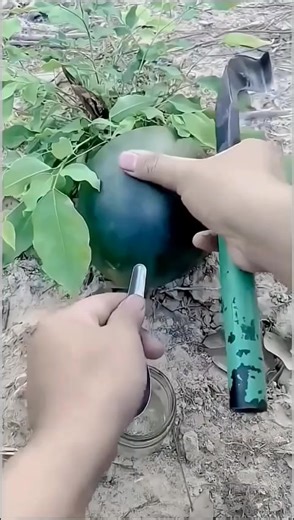 #successmindset #leadershipdevelopment #successstories #businessleadership #entrepreneurmindset #inspirationdaily | Key To Success