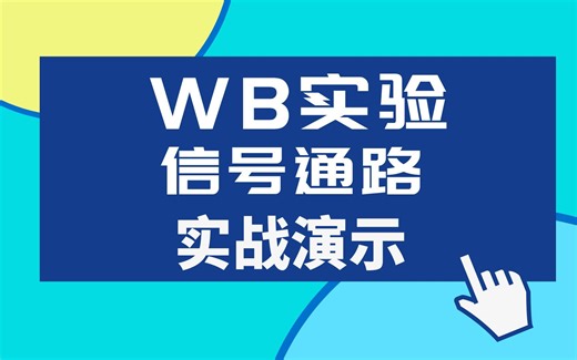 医学生必修课，WB实验 信号通路等实操演示
