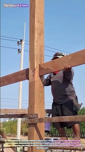 Traditional Timber Framing: Fitting Mortise and Tenon Joints on Site 🪵🔨