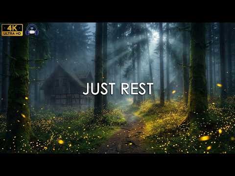 Sleep Music for Non-Doing – Just Rest in Calm Night Silence (3 Hours)