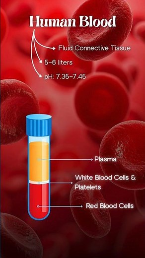 Human Blood Explained | Components, Functions & Amazing Facts #railway #ssc #blood #gk