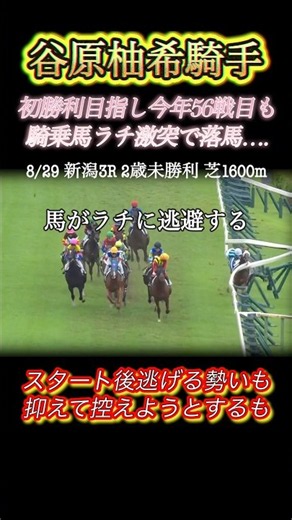 初勝利目指す谷原柚希騎手スタート後馬がラチに逃避して落馬… #競馬 #落馬 #谷原柚希 #新潟競馬場 #shorts