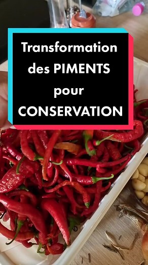 Transformation et conservation des piments en pimentade