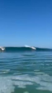 T-man and Jonesy, right place, right time to get the shot. The 9'0 Protech longboard getting the job done. High end performance and durability at a mid end price. Rider: Paul Jonesy Videographer: Tristan Hamson Board: 9'0 Protech Longboard https://www.nspsurfboards.com/product/technology/protech-surf/longboard-protech/ | NSP - Surf and Stand Up Paddle Boards | Facebook