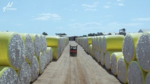 Cotton walk through process video