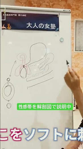 只今人気の動画🎥女性の性感帯を解剖図です説明中〜 #性感帯の解剖図 #クリトリス性感 #Gスポット性感 #ポルチオ性感