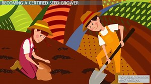 Be a Certified Seed Grower: Certification and Career Roadmap
