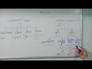 Chapter haloalkanes haloarenes Classification of halides
