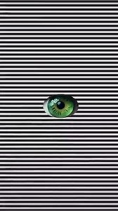 2.3K reactions · 127 shares | 凉 | Hasan Biyyaa Iisaa | Facebook