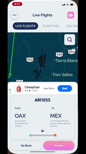 rating random flights from what country you comment #flight #flights #flightstoday