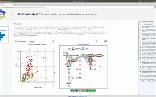 MetaboAnalsyt 5.0 - Joint Pathway Analysis