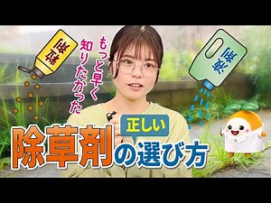 おうち周りの雑草に困っている方必見！！除草剤ってどうやって使うの？気になる疑問をふたばが博士に思い切って相談してみました✨ふたばの雑草相談室です♪