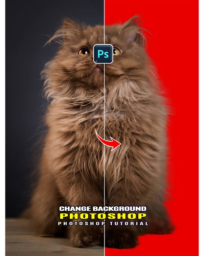 6K views · 70 reactions | Master in Photoshop | How to remove BG without losing hair using Photoshop Photoshop Tutorial Everyday New Video #trendingvideo #photography #fblifestyle #photoshop #tutorial #follow #everyone #foryouシ #highlights | Smart Graphic Trick | Facebook