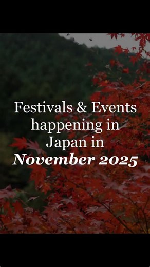 🍁 November in Japan – The Perfect Time to Explore 🇯🇵✨ Cool breezes, vibrant festivals, and golden autumn leaves — November is one of the most magical months to experience Tokyo, Kyoto, and Osaka! 🌸 ☀️ Tokyo: 17°C days, perfect for strolling through fall foliage & city lights 🍂 Kyoto: Crisp 17°C days and cozy 8°C nights — ideal for temple trails & gardens 🌆 Osaka: 17°C sunshine and lively street vibes — great for food lovers & culture seekers 🎎 Festivals, autumn colors, and seasonal charm 