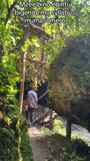 Understanding Kintu: Insights from the Ugandan Syllabus