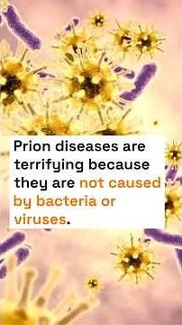 4 Deadliest Diseases in the World | 😨#medicaleducation#Medicine#DoctorLife#MBBS#HealthEducation