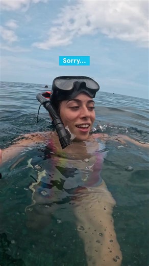 Our BIG flight sale is on! Find Black Friday deals on tons of flights! | Air Transat