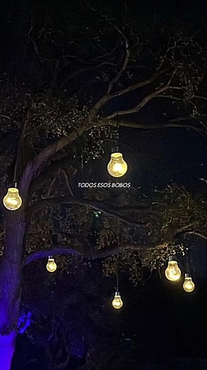 #song.emily #musica #lyrics #xyzbca #foryoupage #foryoupage #fyp