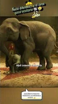 El Elefante de Orejas Gigantes que Sorprendió al Circo 🐘🎪 Historia Emotiva