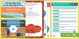 Big and Little Early Concept Teaching and Learning Ideas Resource Pack