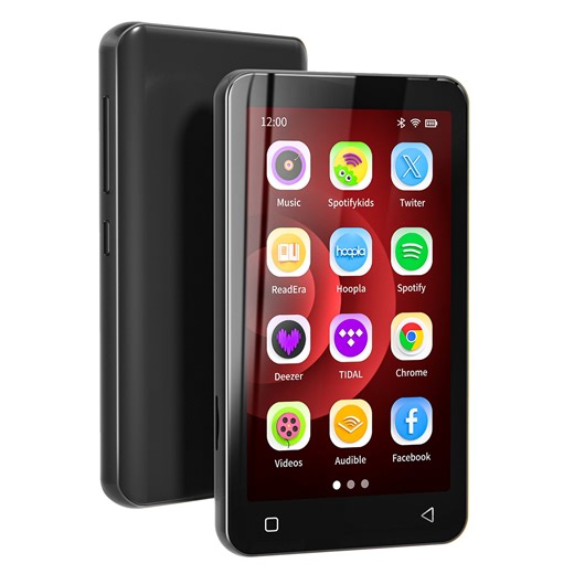 innioasis S2 Streaming MP3 Player 80GB