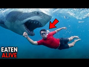 The HORRIFYING Last Minutes of People Mauled by Wild Animals