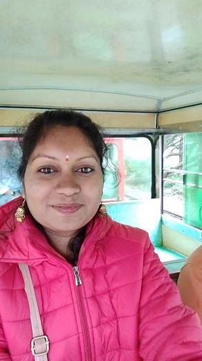 13K views · 1.3K reactions | Mini train  | Travel with dr sreelekha | Facebook