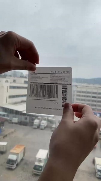 Sticker Shield,Windshield Sticker Applicator