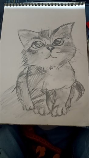 cat drawing with hatching style