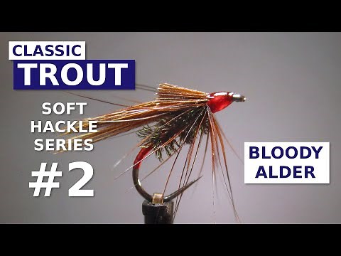 Fly Tying a Bloody Alder - Classic American Soft Hackle Wet Fly Pattern