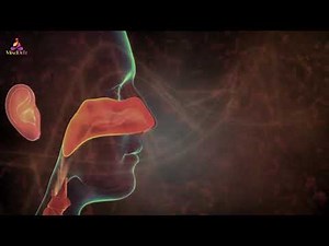 727Hz ✔Cure All Allergies & Sinusitis - Rife Frequency | Self Healing Binaural Beats - MindDelt