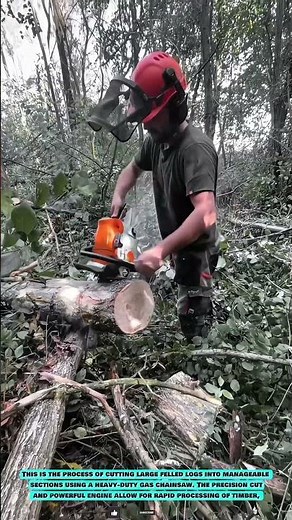 Gas Chainsaw Tool: Powerful Log Bucking Engineering #innovationtools #chainsaw