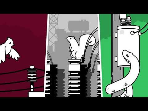 Proactive Animal Protection for Power Lines and Utility Equipment - Introducing Critter Guard