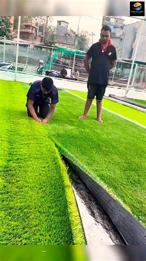 How Cricket Stadiums Get Perfect Green Grass