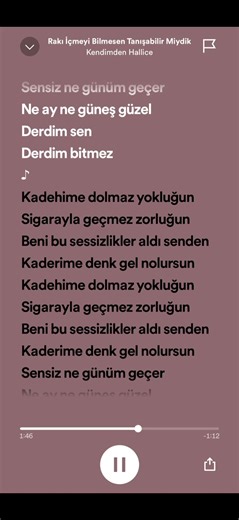 Rakı İçmeyi Bilmesen Tanışabilir miydik? Şarkı Sözleri ve Duygusal Müzik