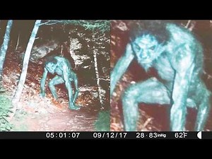 Unexplainable Creatures Caught on Camera – Proof They Exist