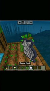 Minecraft Survival boat ☠️