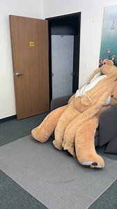 Patient's surprising teddy bear transformation! | Vu Stories