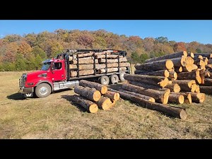Turning trees into logs and how to clean them up.