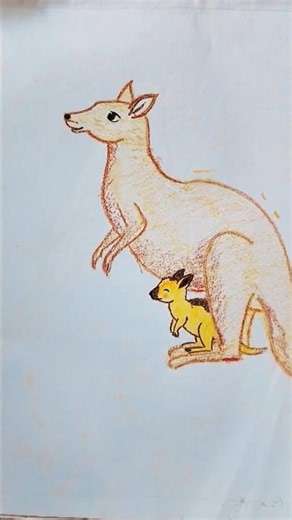 Kangroo drawing #drawing #shortvideo