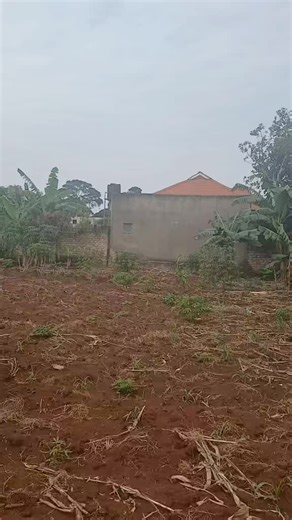 12 decimals land for sale location Garuga Entebbe road price:80 million ugx call 0775752739