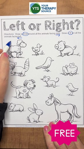 3.7K views · 11 reactions | Learning left and right can be tough for...