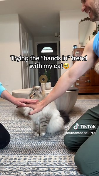 Trying the “hands in” trend with my cat 🥹