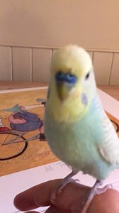 9.1K views · 292 reactions | Sam Toft on Reels | Facebook