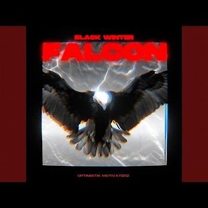Black Winter Falcon
