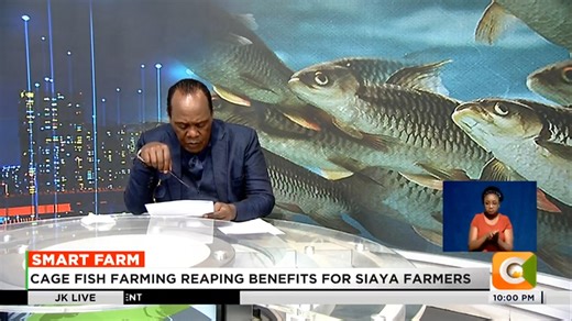 Smart Farm: Cage fish farming reaping benefits for Siaya farmers Farmers adopting circular plastic fish cages Kenyans consume 600,000 tonnes of fish per year #JKLive Jeff Koinange | Citizen TV Kenya